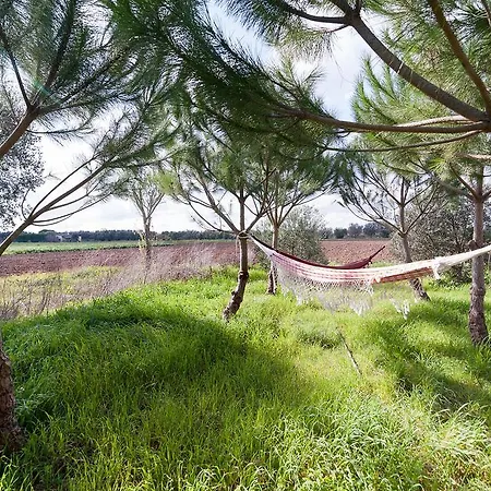 Tenuta Rurale Vila Cutrofiano